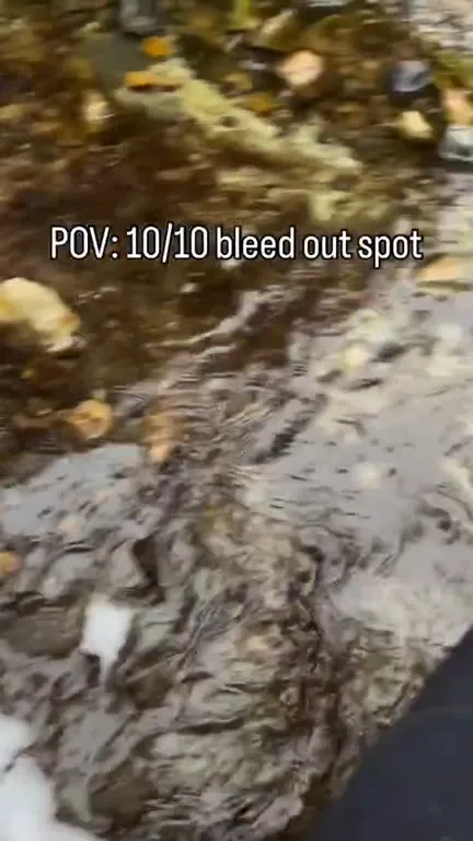 POV: Bleeding Out in Paradise