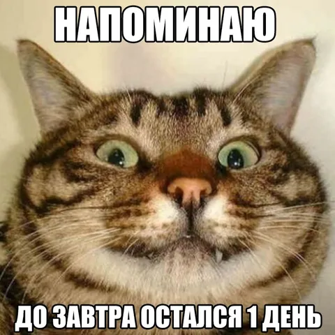 До завтра остался один день