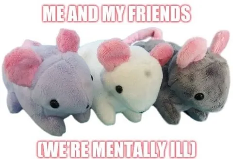 Me and My Friends Mentally Ill