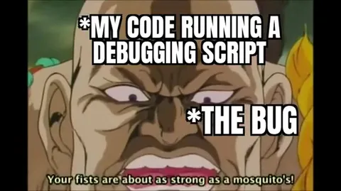 My Code Crashes After Debugging