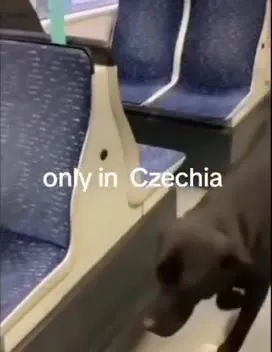 Only in Czechia Dog Commute