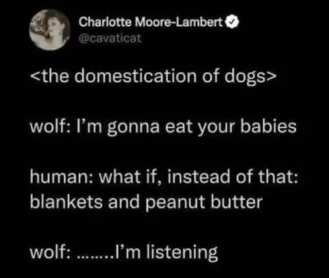 Wolf Chooses Blankets and Peanut Butter