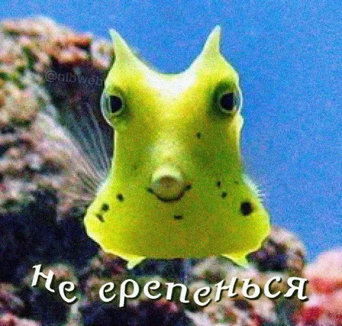 Не серенься, странная рыбка