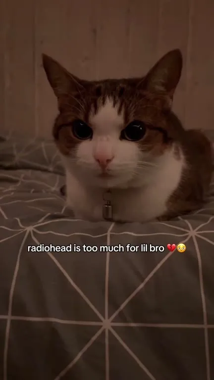Radiohead Is Too Much for Lil Bro