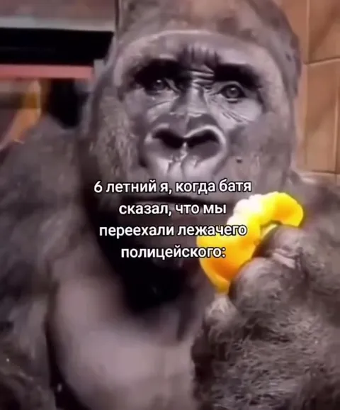 Шестилетний я и лежачий полицейский