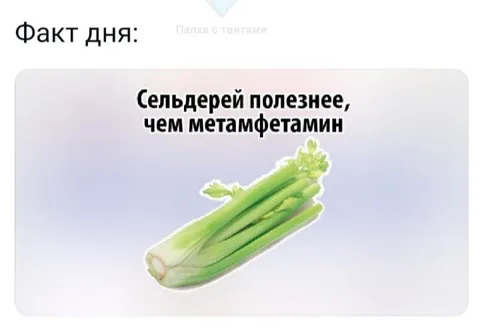 Сельдерей полезнее метамфетамина