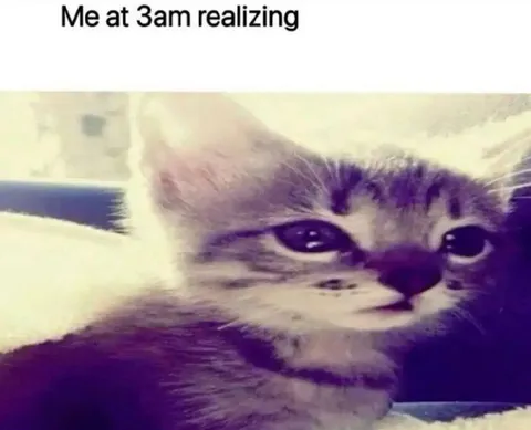Cat Realizing at 3 AM