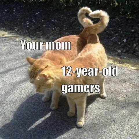 Your Mom 12-Year-Old Gamers
