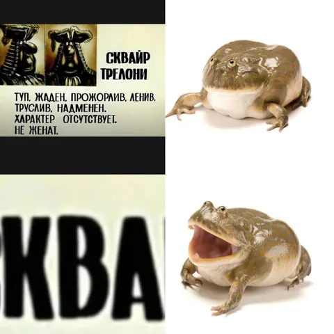 Ква вместо идеального мужчины