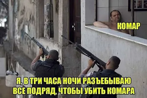 Разъебываю всё ради комара