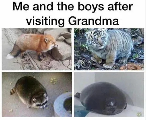 Me and the Boys After Grandma