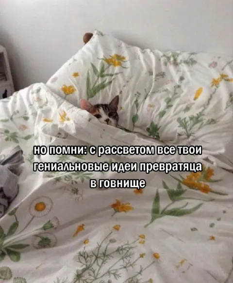 Гениальные идеи до рассвета