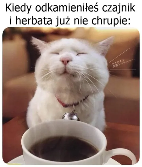 Herbata już nie chrupie