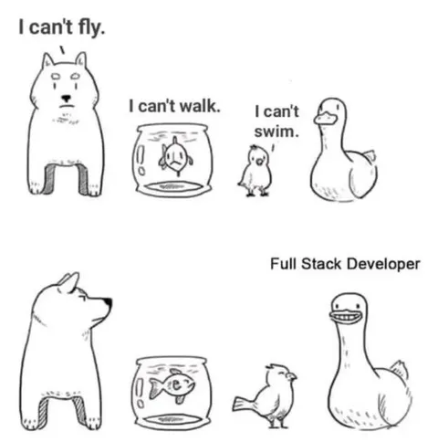 Full Stack Developer Animals