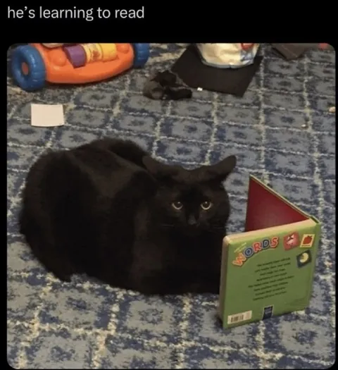 Black Cat Learning to Read