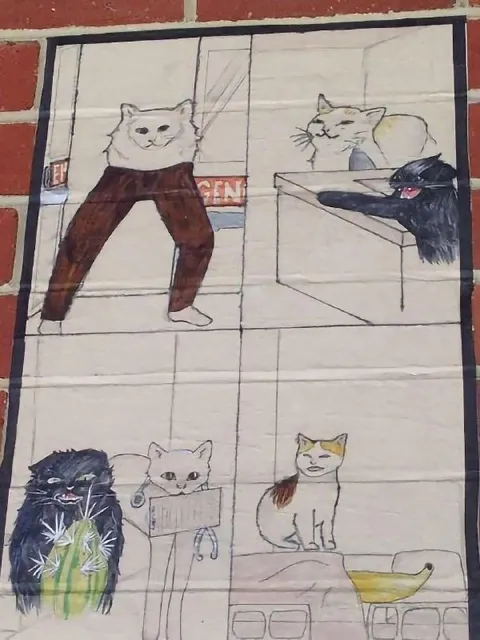 Коты в неожиданных образах
