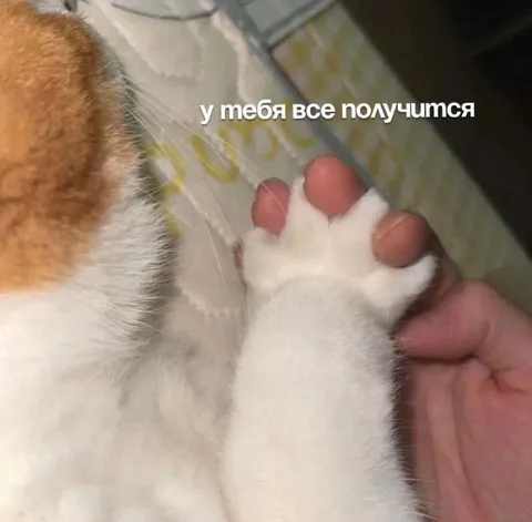 У меня всё получится