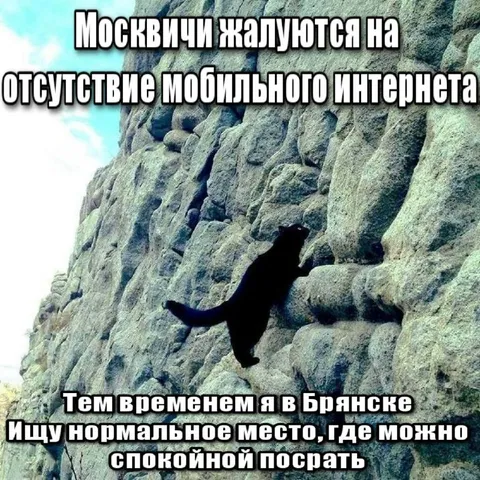 Москвичи ищут мобильный интернет