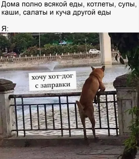 Хочу хот-дог с заправки
