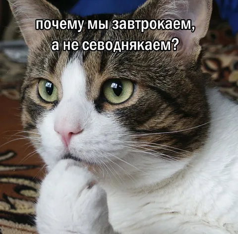 Почему завтракаем, а не сегоднякаем