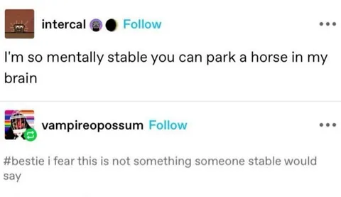 Mentally Stable Brain Parking