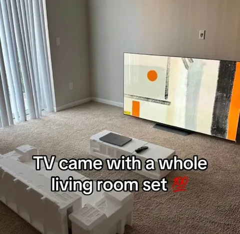 TV Came With Living Room