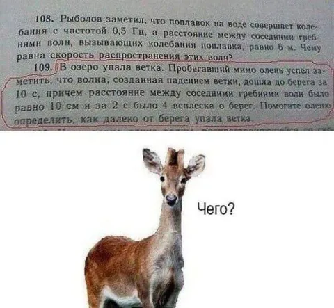 Чего? Волновая задача
