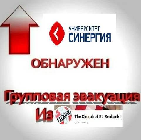 Групповая эвакуация из Синергии