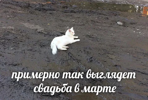 Свадьба в марте