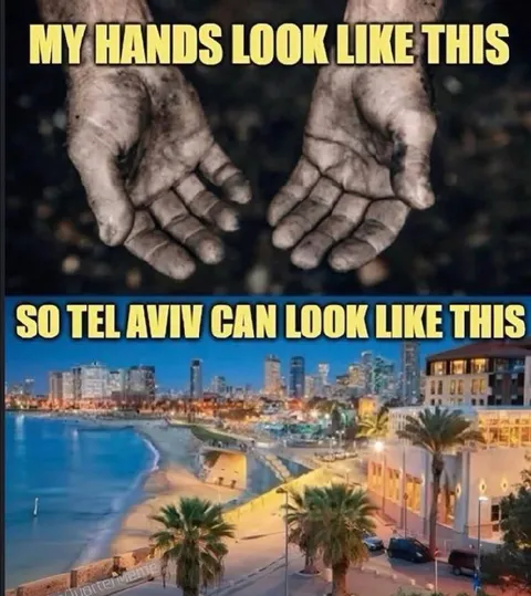 My Hands Look Like This Tel Aviv