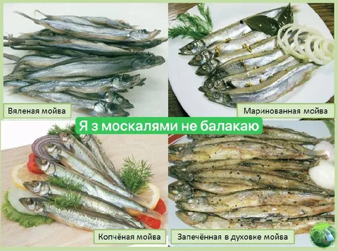Я з москалями не балакаю