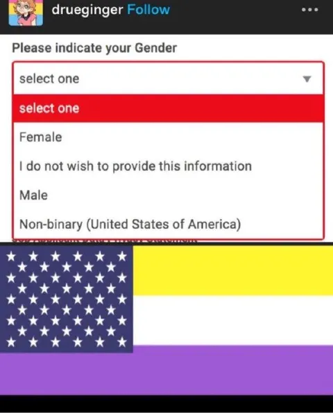 Gender Dropdown American Flag