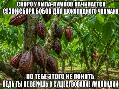 Сезон сбора бобов умпа-лумпов