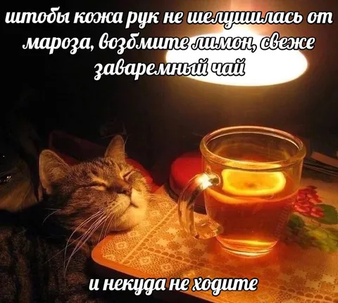 Лимонный чай от мороза