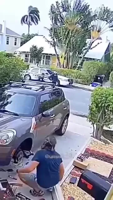 Parrot Calls the Sheriff