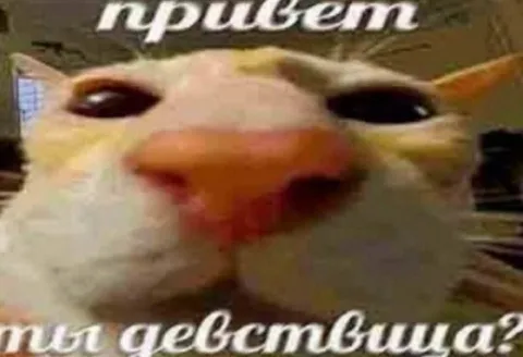 Привет, ты девственница?