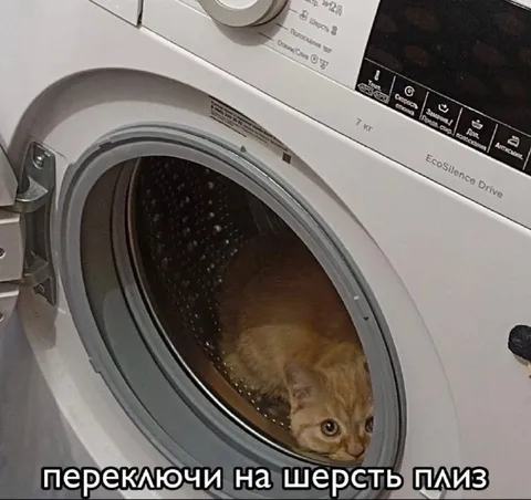 Переключи на шерсть плиз