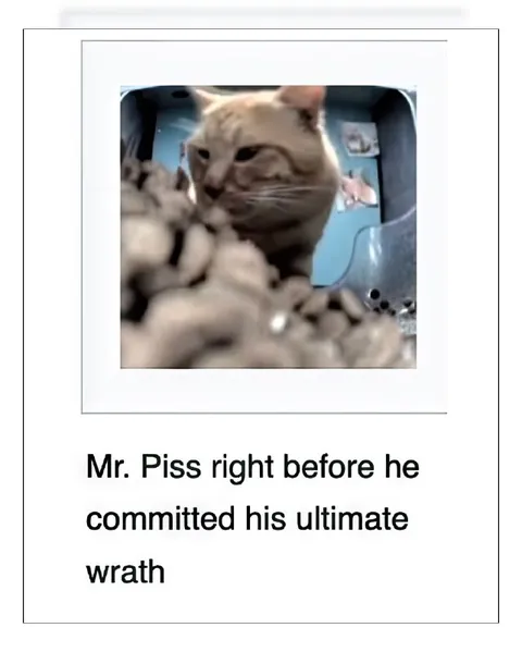 Mr. Piss Ultimate Wrath