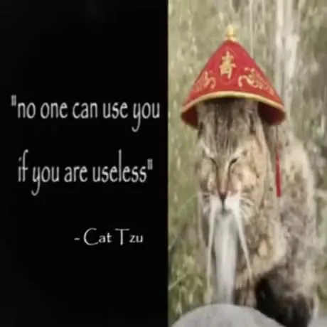 Cat Tzu’s Three Useless Rules
