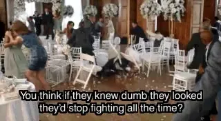 They Kind of Like Fighting