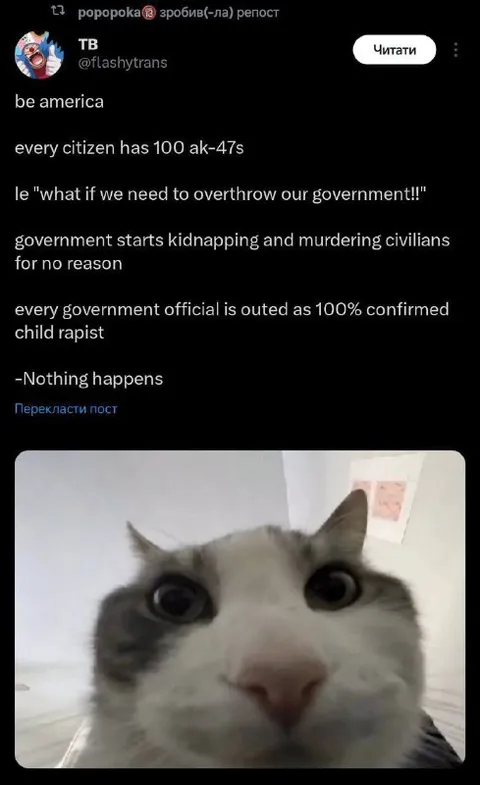 Nothing Happens Wide-Eyed Cat