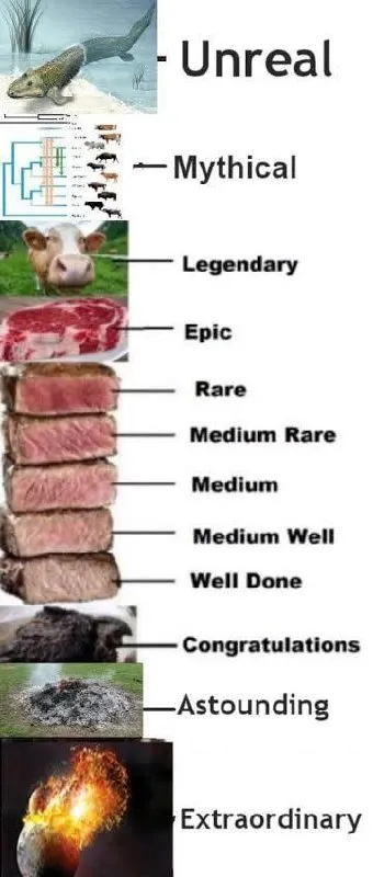 Steak Doneness Rarity Tier List