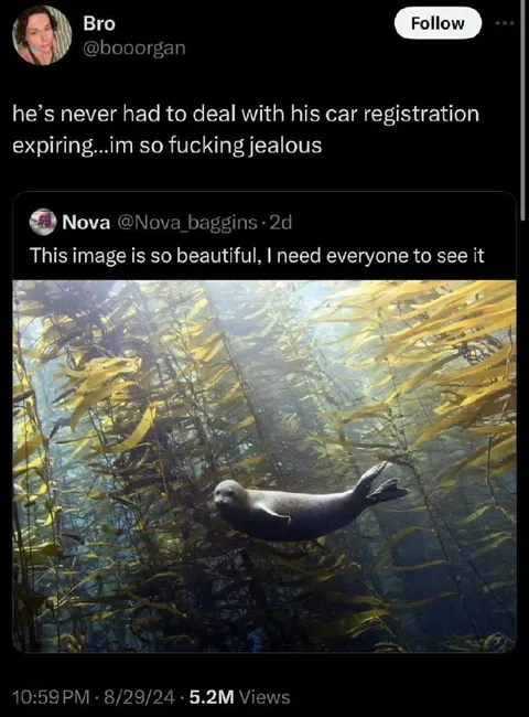 Jealous of Expiring Car Registration