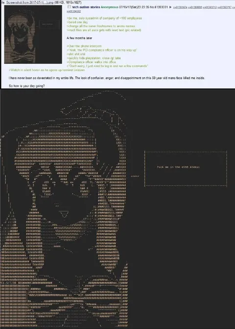 Solo Sysadmin ASCII Art Disaster