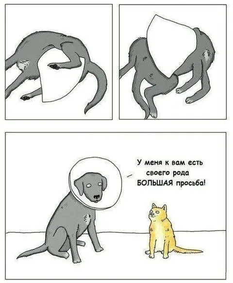Большая просьба к коту