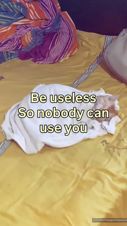 Be Useless So Nobody Can Use You