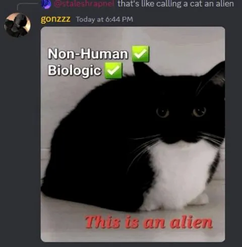 Cat Classified as Alien