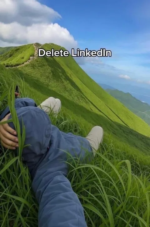 Delete LinkedIn and Touch Grass