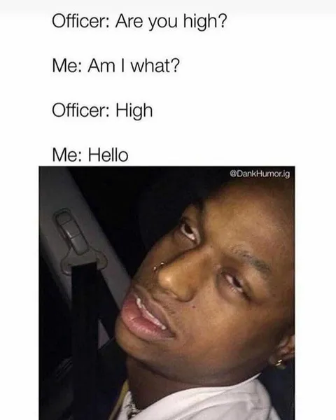 Officer Are You High