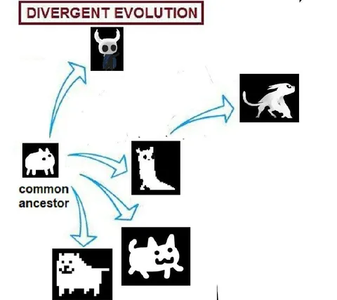 Divergent Evolution Meme